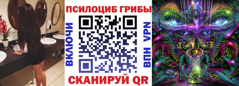 даркнет сайт  Зея  Галлюциногенные грибы Psilocybe 